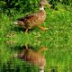 Que porter pour l'automne/hiver 2020? - image pexels-pixabay-162059-80x80 on https://gianniferrucci-tlse.fr